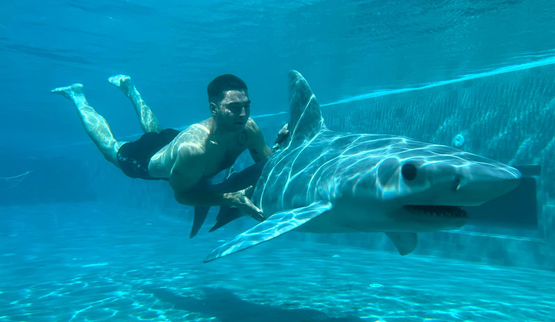 Dua Lipa Album Cover