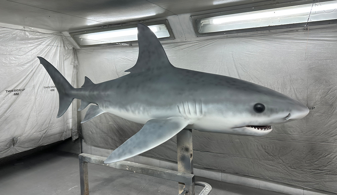 Dua Lipa Album Cover