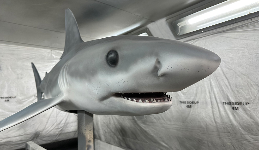 Dua Lipa Album Cover